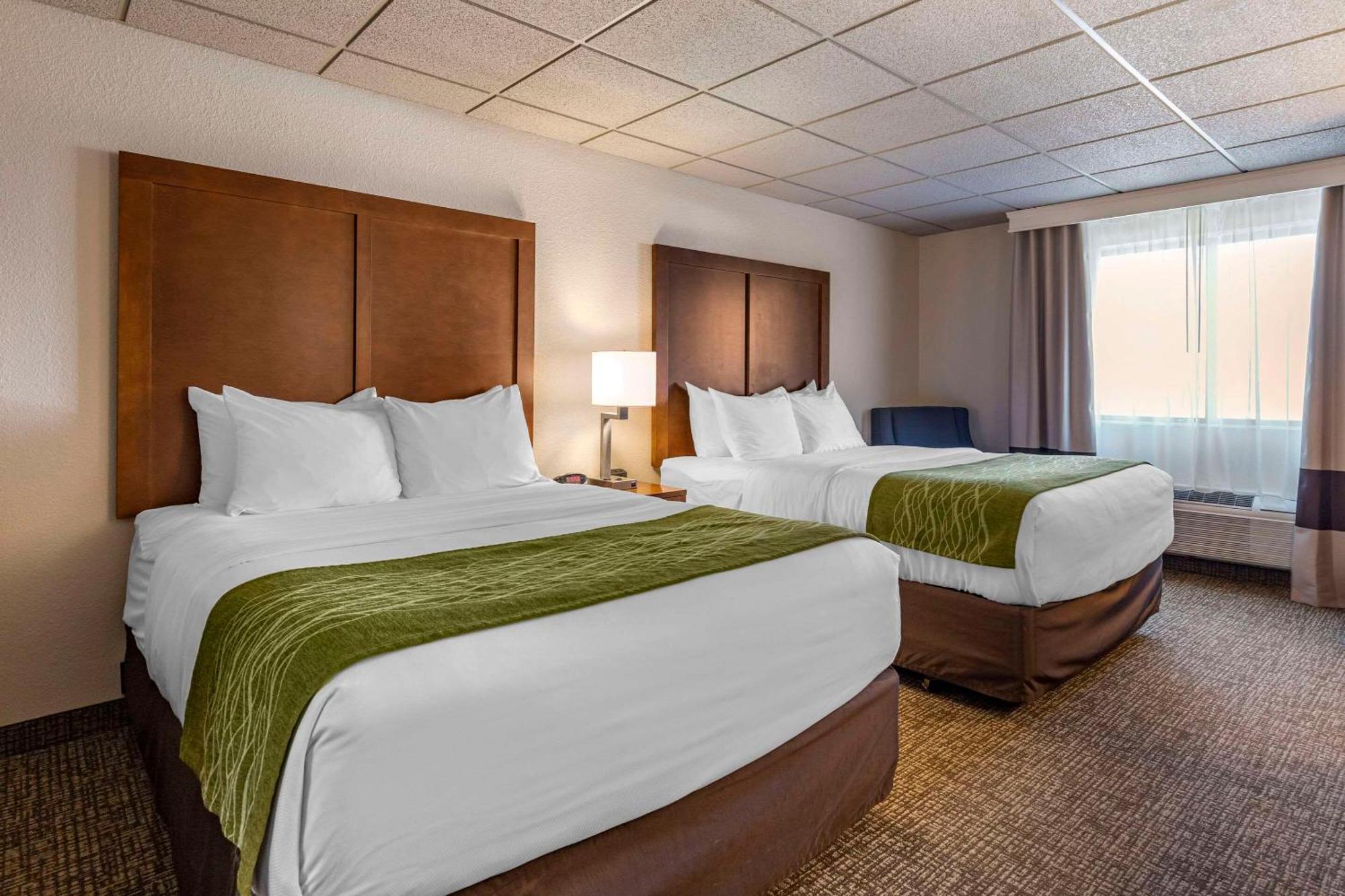 Comfort Inn & Suites Gateway To Glacier National Park Shelby Eksteriør billede